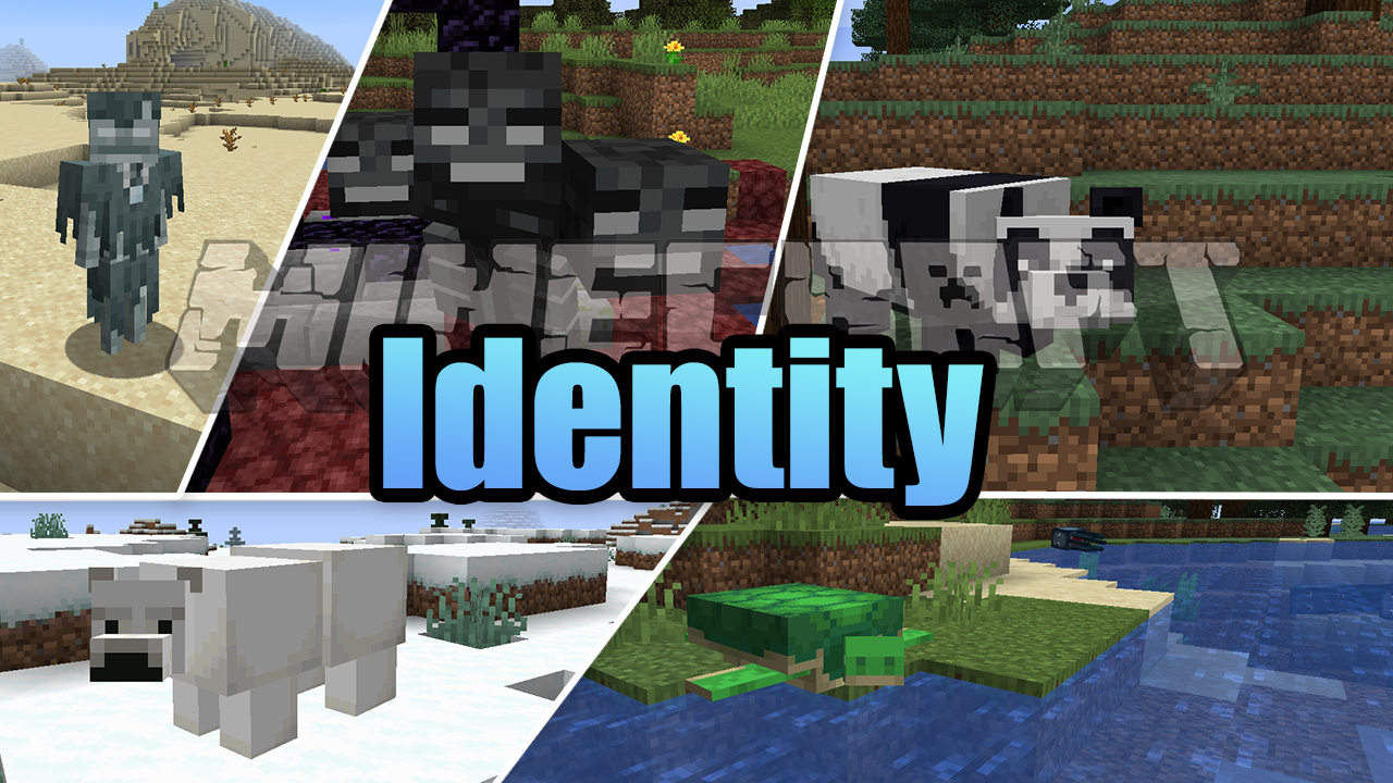 Identity mod minecraft