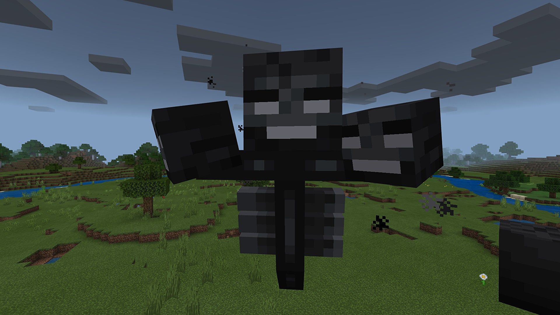 วิทเธอร์(wither boss)